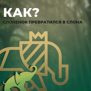 Как слоненок превратился в слона